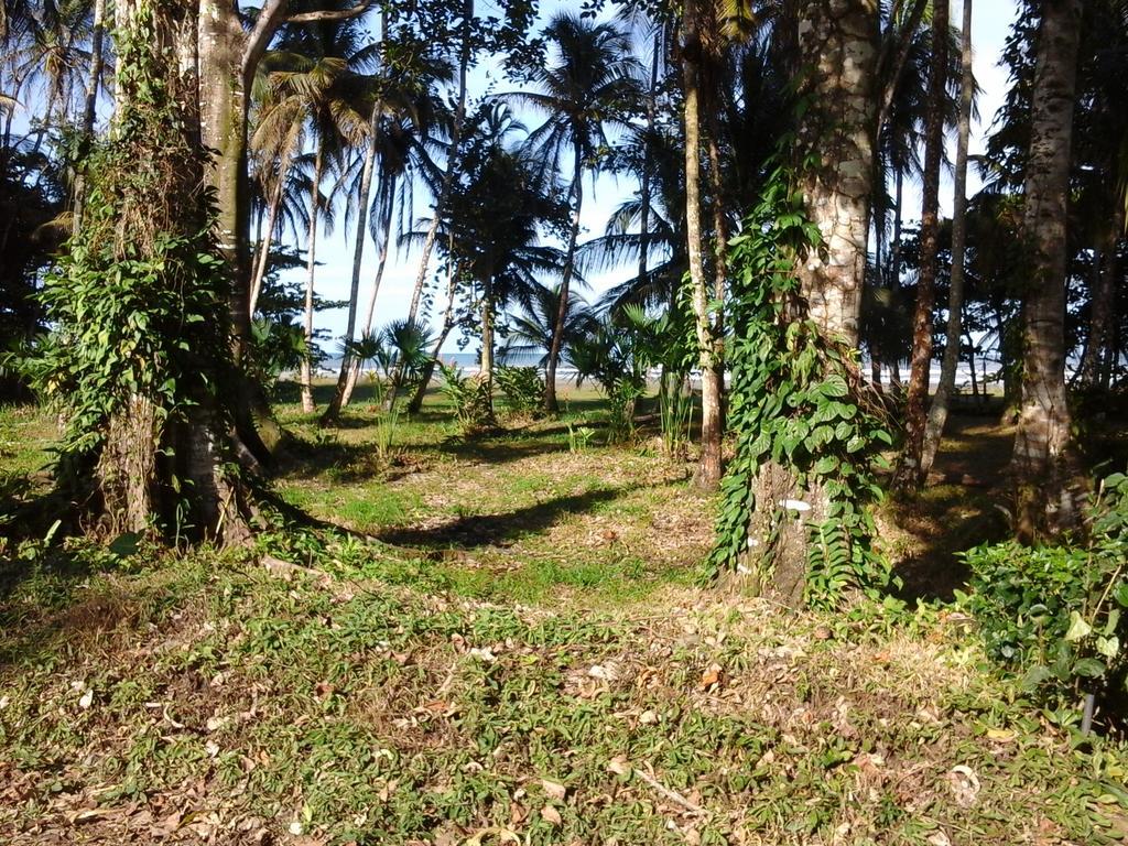 Kenaki Lodge Puerto Viejo de Talamanca Dış mekan fotoğraf