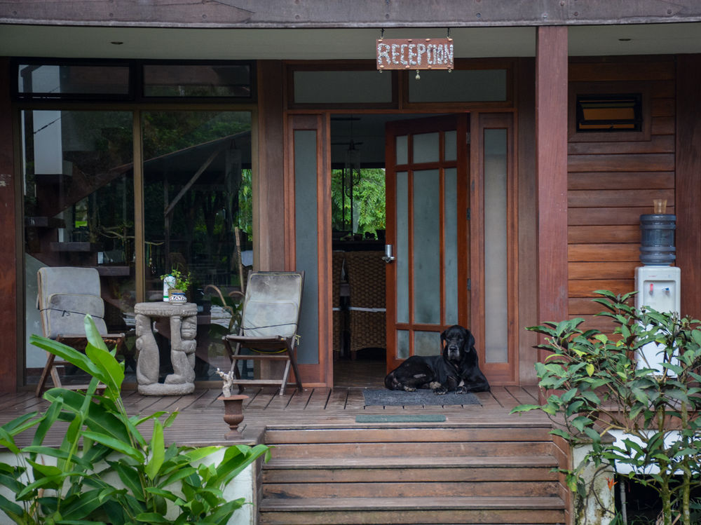Kenaki Lodge Puerto Viejo de Talamanca Dış mekan fotoğraf
